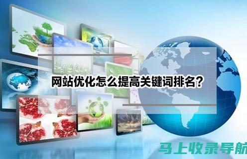 SEO新手必修：搜索引擎优化基础教程